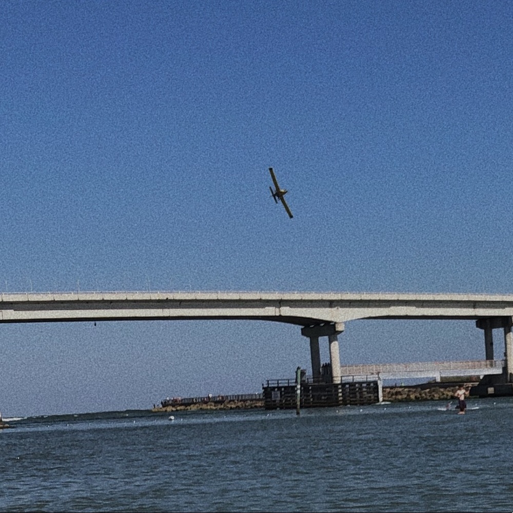 Meet your Posher, Arianna